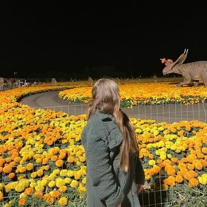 Meet your Posher, Kailani